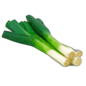Ajo Porro